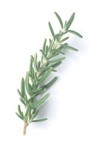 Body and Soul: Spritzers Image